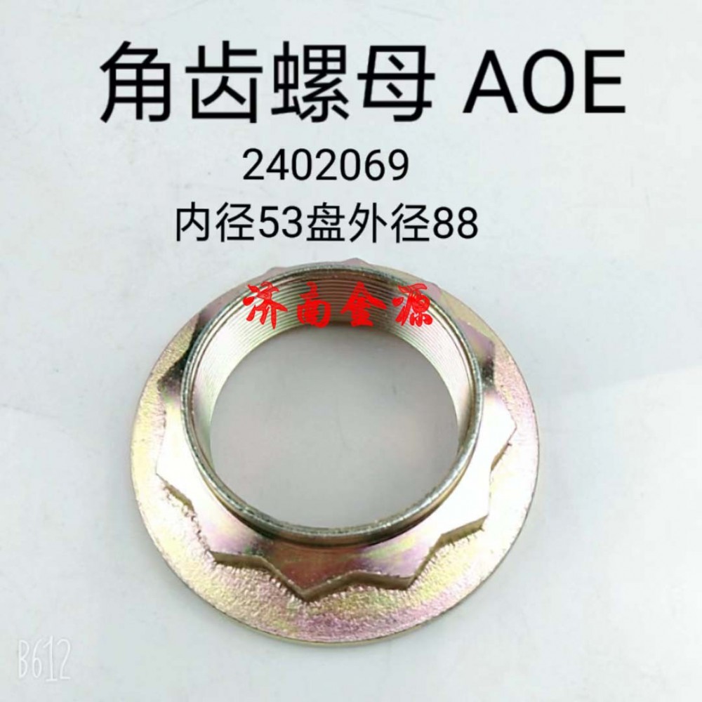 角齒螺母 AOE W1629/2402069