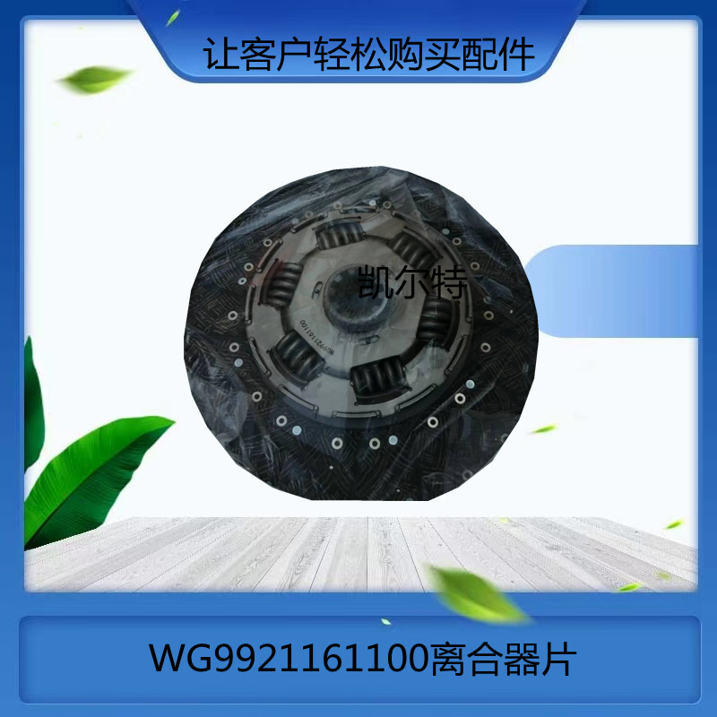 O1CN01VvqiTg1Bs2kcSMsDi_!!0-0-cib