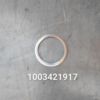 1003421917墊片