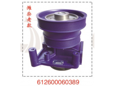 612600060389,水泵总成,山东泵之星动力有限公司