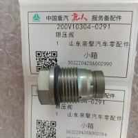 200V10304-0291/1110010028泄壓閥
