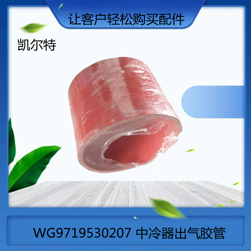 O1CN01DKoH9J1Bs2lJJ12wp_!!0-0-cib