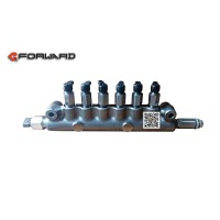 R61540080016  共軌組件D12