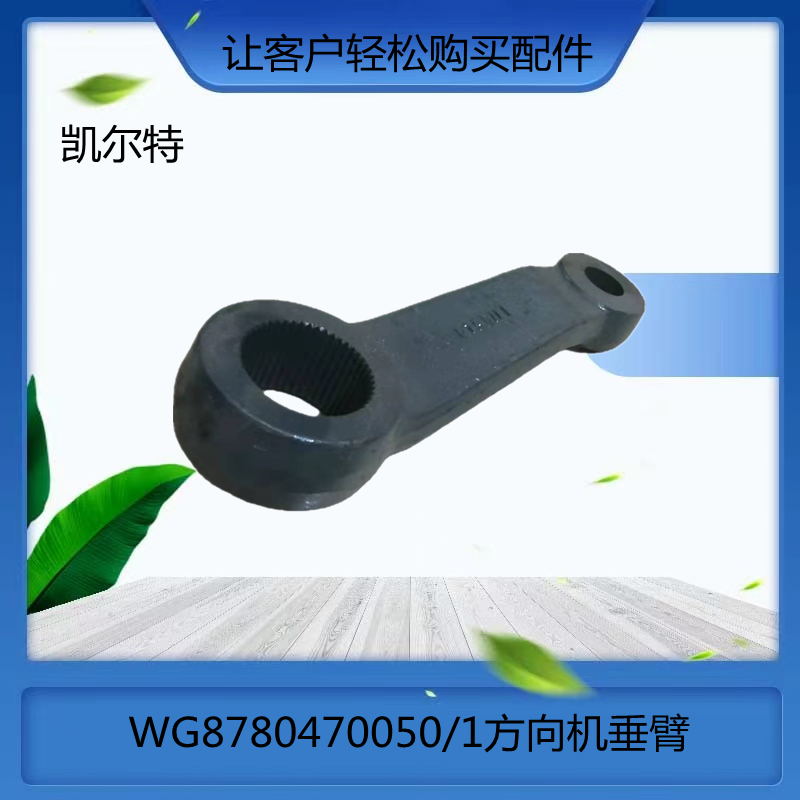 O1CN01wiGSHm1Bs2lW1UcOQ_!!0-0-cib