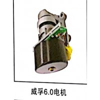 威孚6.0電機(jī)