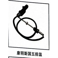 康明斯國(guó)五排溫