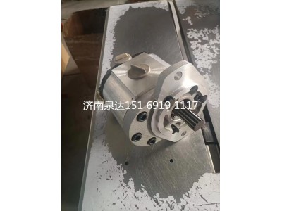 QC50/15-DHH09-ZL,齿轮泵,济南泉达汽配有限公司