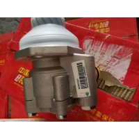轉向助力葉片泵 WG9725471016