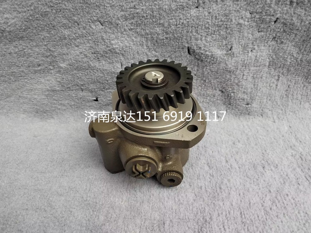 FG9806476900,转向助力泵,济南泉达汽配有限公司