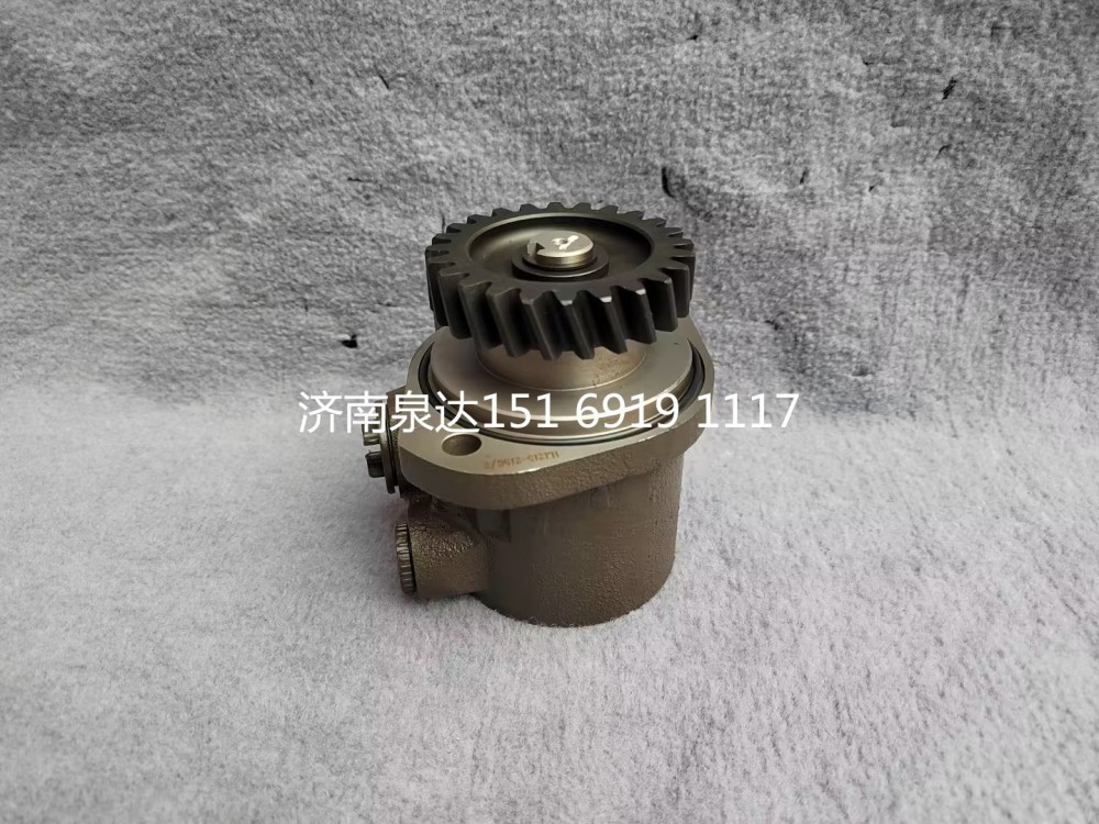FG9806476900,转向助力泵,济南泉达汽配有限公司
