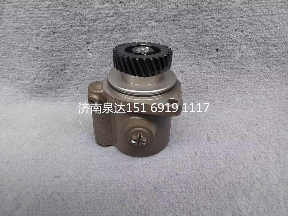 重汽豪沃豪曼悍将王牌统帅轻卡助力泵转向泵液压油泵/LG9704471923