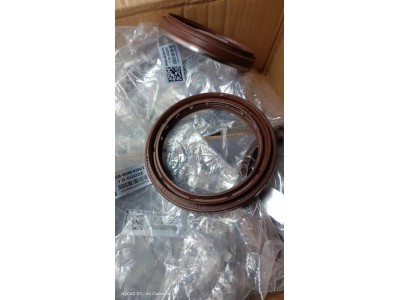 MQ6-56289-0394 油封