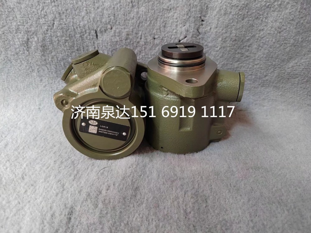 一汽青岛解放悍威JH6奥威J6P转向泵助力泵液压油泵/3407020-D9031