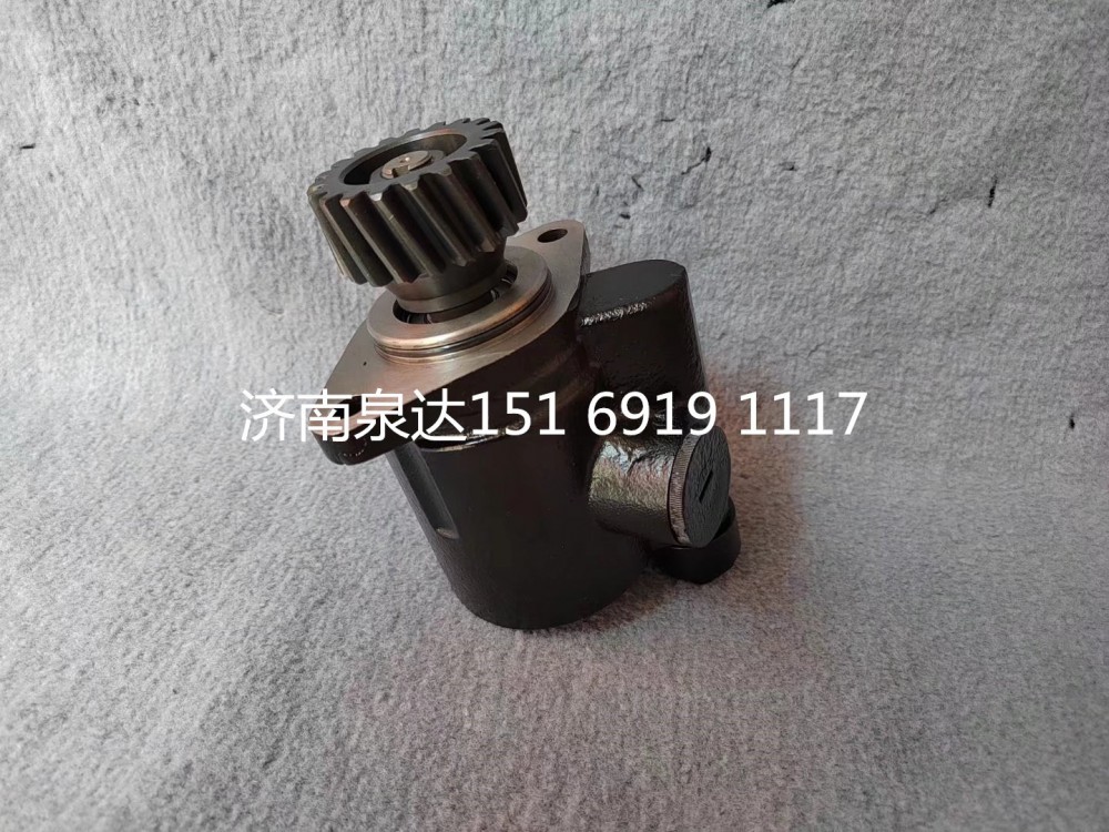 陕汽德龙F3000X3000L5000助力泵转向泵液压油泵/DZ9100130026