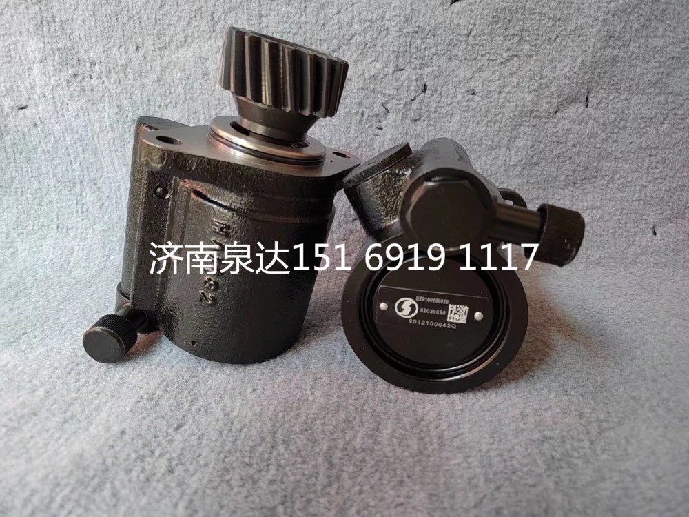 陕汽德龙F3000X3000L5000助力泵转向泵液压油泵/DZ9100130026