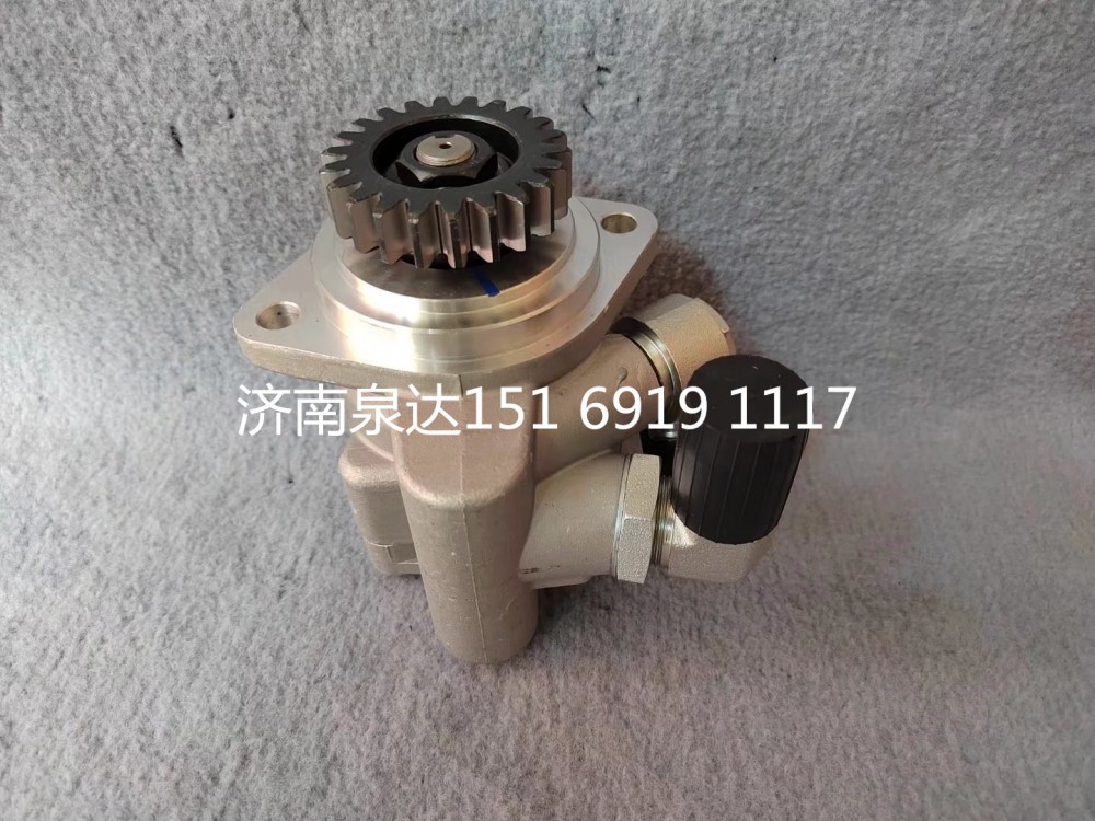 3407020BM56-F1066,转向助力泵,济南泉达汽配有限公司