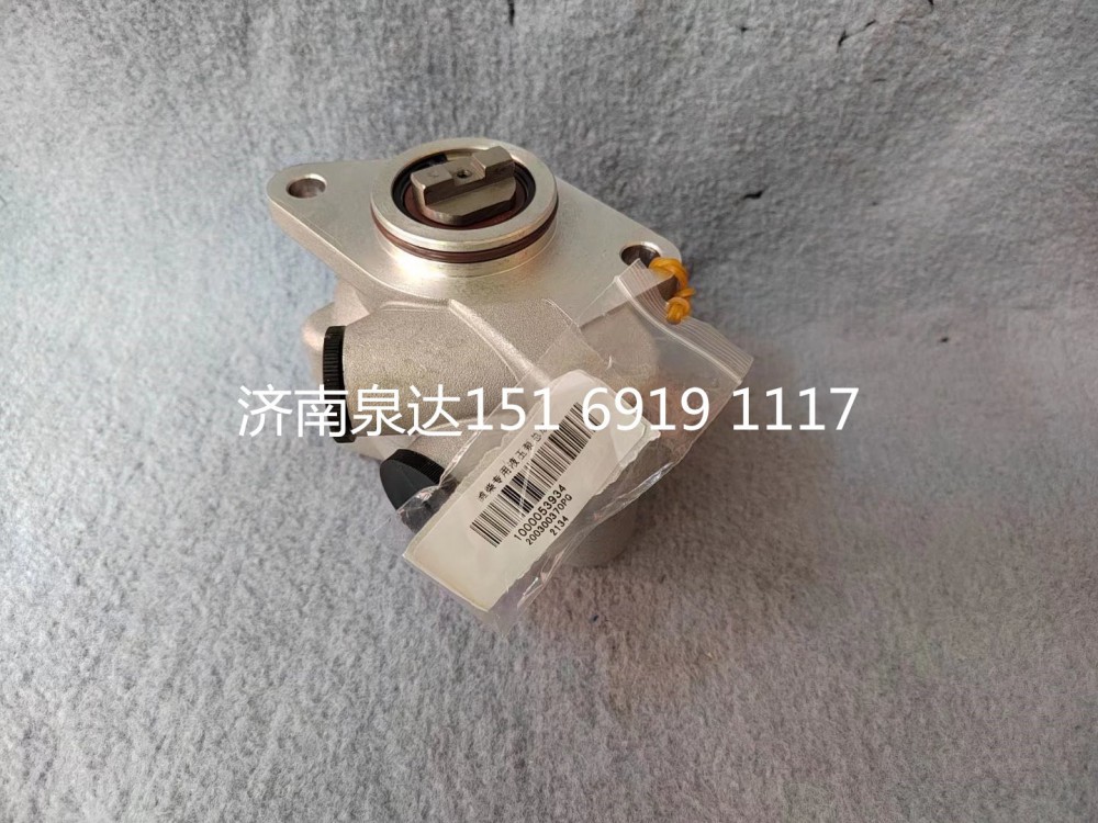 1000053934,转向助力泵,济南泉达汽配有限公司