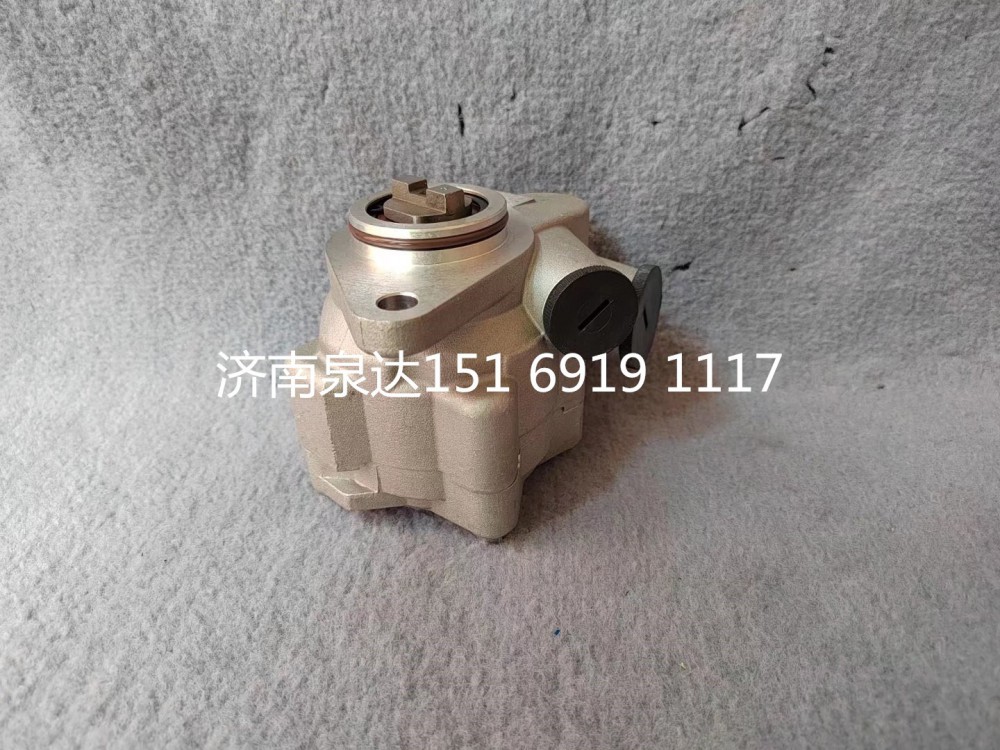 1000053934,转向助力泵,济南泉达汽配有限公司