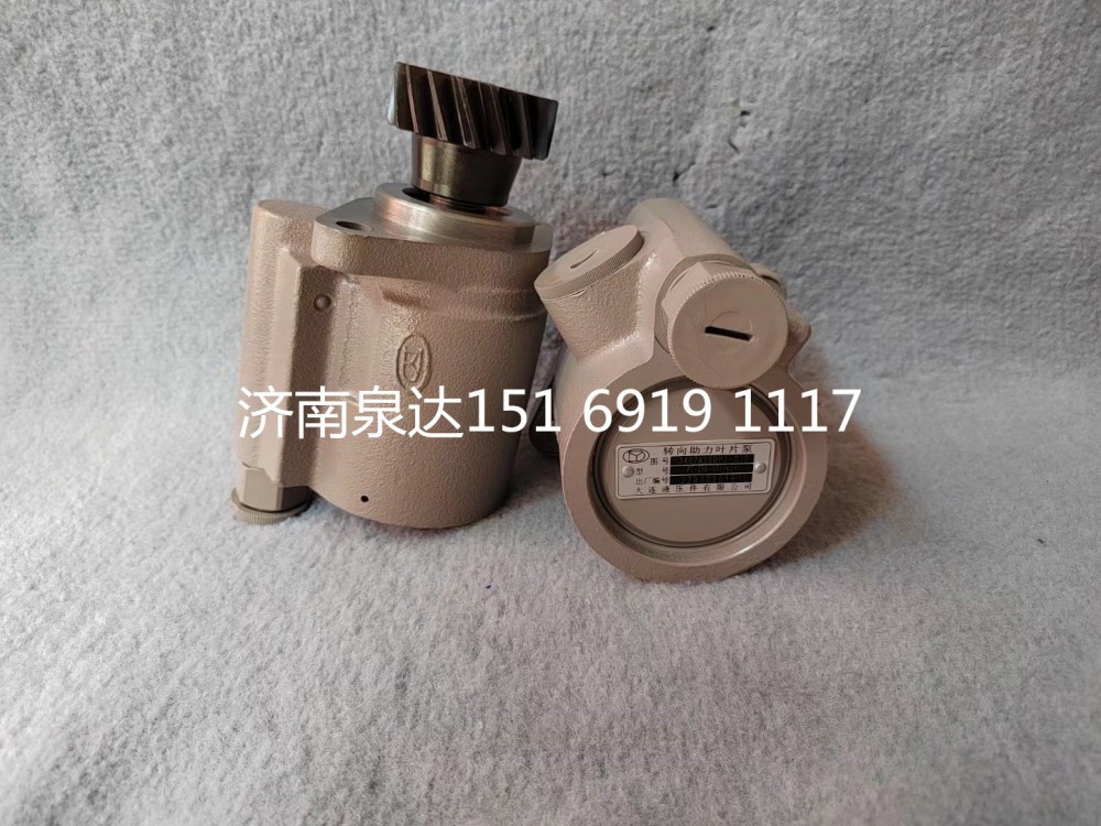 3407A59DP3-010,转向助力泵,济南泉达汽配有限公司
