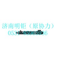 中国重汽特种车码头车配件 BZ53714700111  转向油缸（右）
