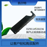 出口配件DZ9114530236 陜汽止回流板總成