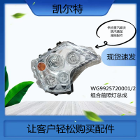 WG9925720001/2 howo精品組合前照燈總成