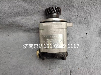 TG56074710284,转向齿轮泵,济南泉达汽配有限公司