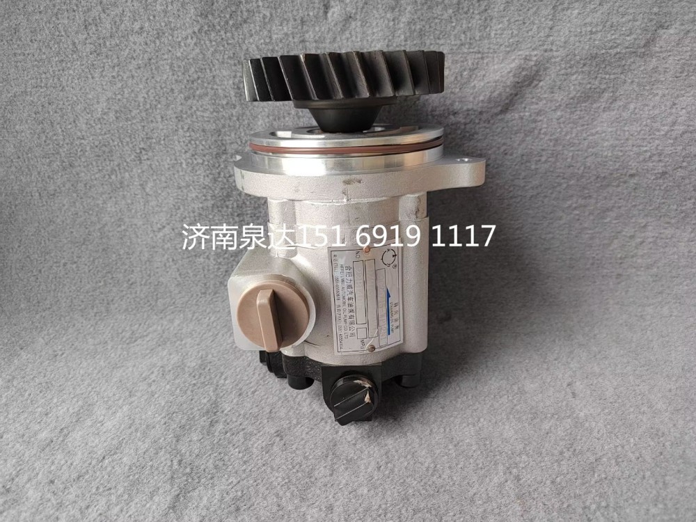陜汽德龍X3000轉(zhuǎn)向齒輪泵助力泵液壓泵轉(zhuǎn)向泵/DZ97319470215