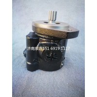 重汽轻卡杨柴2105发动机转向泵助力泵液压泵