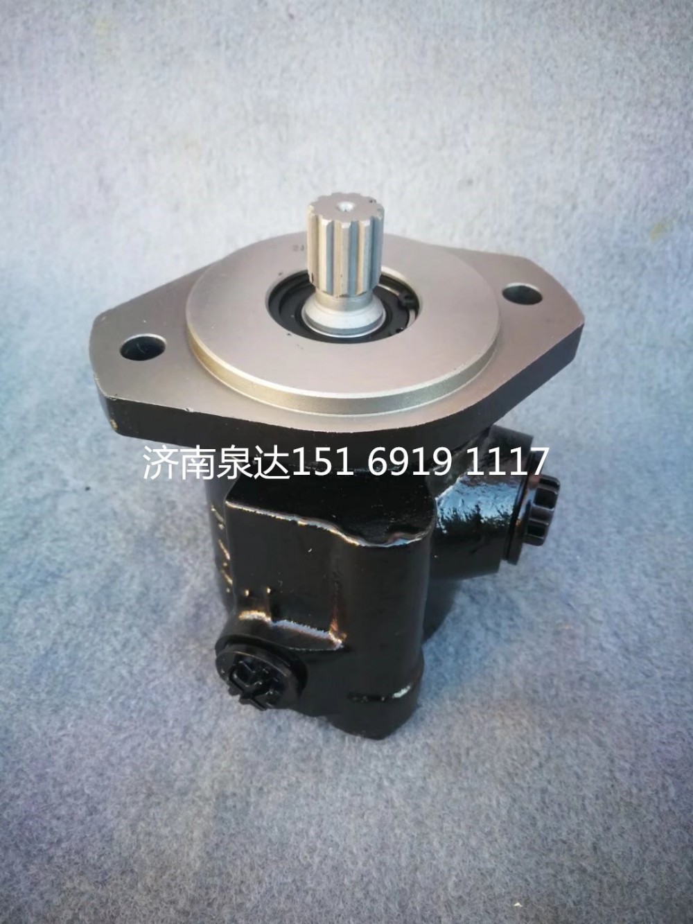 杨柴2105发动机转向泵助力泵液压泵/1003139098
