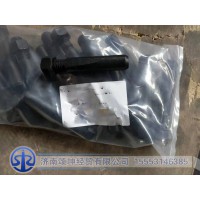 WG9100411006   主销限位螺钉