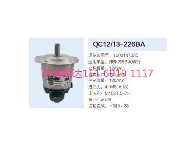 1003187335,动力转向齿轮泵,济南泉达汽配有限公司