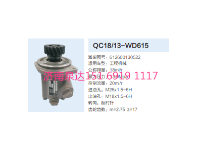 612600130522,动力转向齿轮泵,济南泉达汽配有限公司
