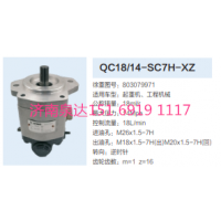 起重機吊車工程機械轉(zhuǎn)向齒輪泵助力泵液壓泵