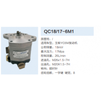 玉柴YC6M發(fā)動(dòng)機(jī)轉(zhuǎn)向泵助力泵齒輪泵液壓油泵