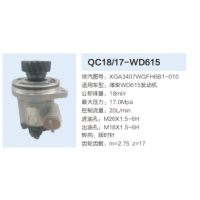 徐工濰柴WD615發(fā)動(dòng)機(jī)轉(zhuǎn)向泵助力泵齒輪泵液壓油泵