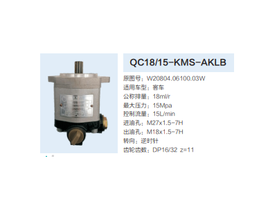 QC18/15-KMS-AKLB,动力转向齿轮泵,济南泉达汽配有限公司