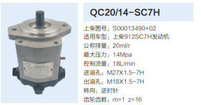 S00013490+02,动力转向齿轮泵,济南泉达汽配有限公司