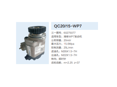 60275077,动力转向齿轮泵,济南泉达汽配有限公司