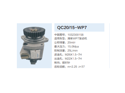 QC20/15-WP7,动力转向齿轮泵,济南泉达汽配有限公司