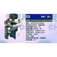 转向泵，助力泵，液压泵，叶片泵  DYB10/01-A20/18.5W，