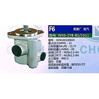 轉(zhuǎn)向泵，助力泵，液壓泵，葉片泵WX6-ZYB-B5/55G1，DZ9100130043