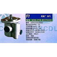 转向泵，助力泵，液压泵，叶片泵WX6-ZYB-B57/51H1， DZ93319130005