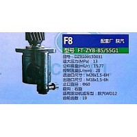 轉(zhuǎn)向泵，助力泵，液壓泵，葉片泵FT-ZYB-B5/55G1，DZ9100130031