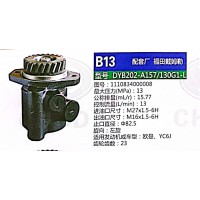 轉(zhuǎn)向泵，助力泵，液壓泵，葉片泵DYB202-A157/130G1-L，1110834000008