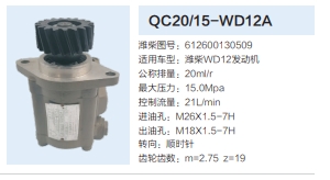 612600130509,齿轮泵,济南泉达汽配有限公司