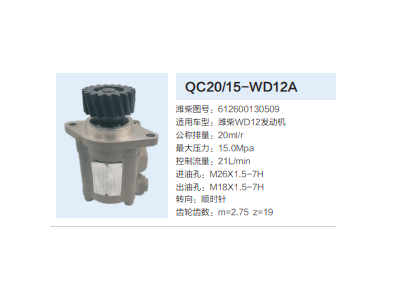 612600130509,齿轮泵,济南泉达汽配有限公司