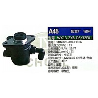 转向泵，助力泵，液压泵，叶片泵WX13-ZYB-D5/32F0-L，3407020-A02-HG1A