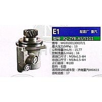 转向泵，助力泵，液压泵，叶片泵JQ-ZYB-A5/51G1，WG9100130037/1