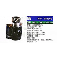 转向泵，助力泵，液压泵，叶片泵WF3-ZYB-C7/61H1，1131334001012
